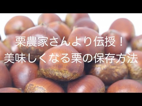 園芸 栗の収穫と保存方法は?