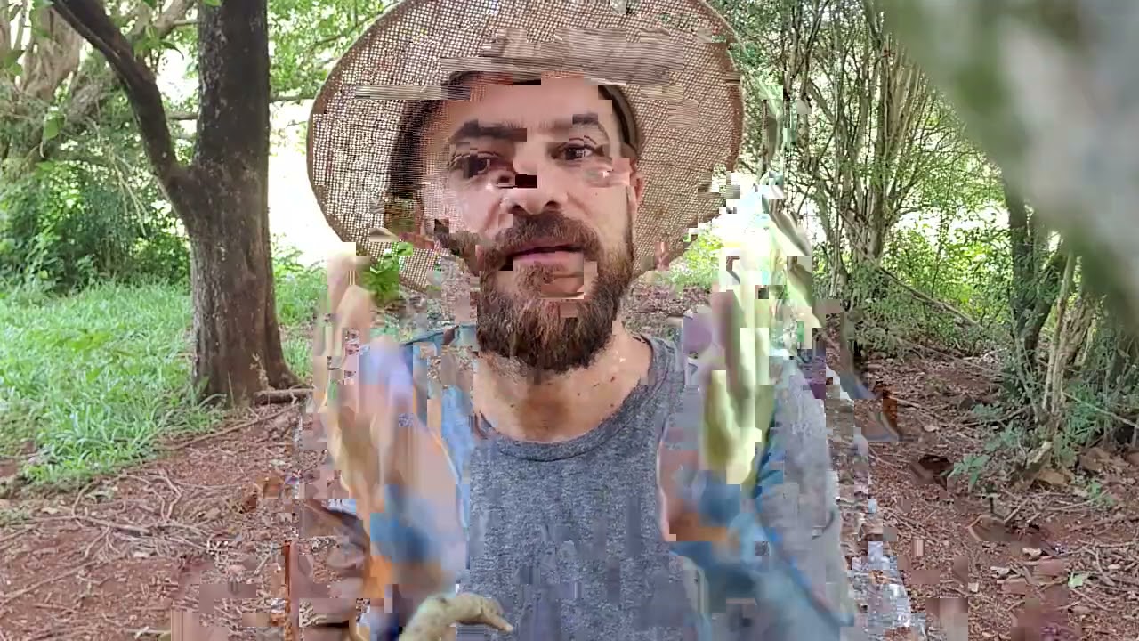 Vejam só a loucura que está acontecendo!!!