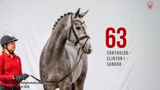 Video von Hengst von Conthalou / Clinton I