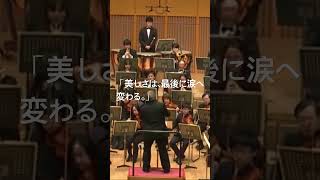 Download lagu チャイコフスキー交響曲第5番「第2楽章」のラスト。あまりにも美しい旋律が、激しい運命の波に飲み込まれていく。 mp3