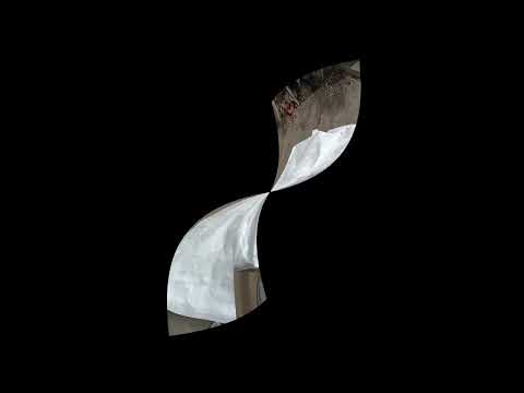 AI in the real world. ION AI trece de la vorbe la fapte.