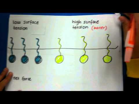 download lagu mp3 mp4 Marangoni Works, download lagu Marangoni Works gratis, unduh video klip Marangoni Works