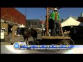 Draft Horse Town 4 July 10th