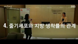 sc301줄기세포가슴성형,줄기세포는 어떻게 추출하나요??