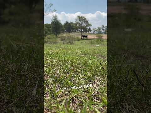 La loma malacatancito Huehuetenango