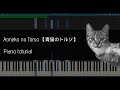 Ryuichi Sakamoto - Aoneko no Torso 【青猫のトルソ】 Piano Tutorial【Synthesia Tutorial】