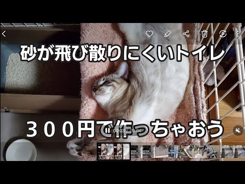 猫砂の作り方 - キャッサバ粉入り猫砂