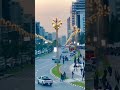 Addis Ababa New Flower Ethiopia Addisababa Addisababaairport Capitalsmartcity Capitalcity