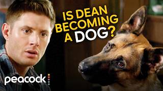 Supernatural | A Potion’s Side Effects Cause Dean to Behave like a Canine