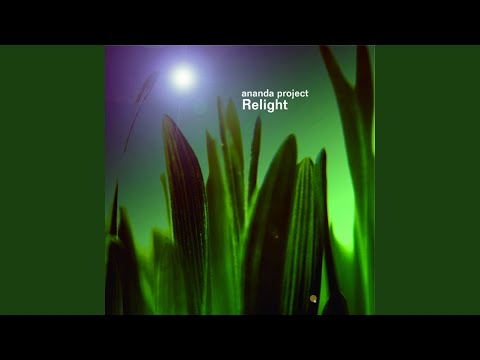 Shouldn't Have Left Me