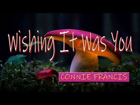 WISHING IT WAS YOU [ karaoke version ] popularized by CONNIE FRANCIS