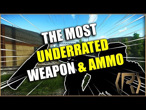 THE BEST BUDGET WEAPON & AMMO TO USE IN ESCAPE FROM TARKOV | EFT GUIDES