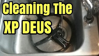 XP Deus Cleaning