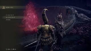 【ELDEN RING】忘れた頃のDLC#8