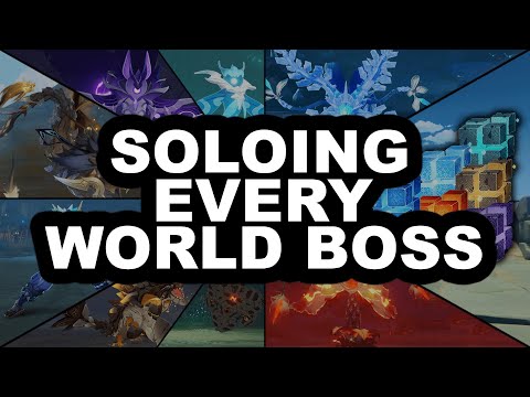 Solo All 14 World Bosses [Different Characters]
