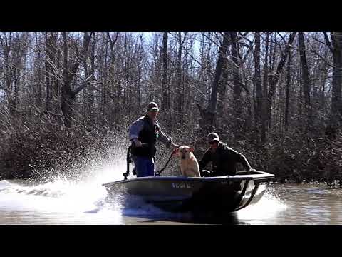 Archive 37 Video thumbnail