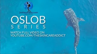 preview picture of video 'MY TRAVEL TO OSLOB, CEBU, PHILIPPINES feat. SWIMMING with the OSLOB WHALE SHARKS'