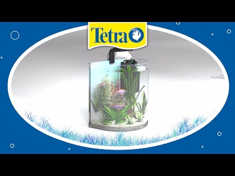 Tetra AquaArt Explorer Line GoldFish аквариумный комплект, «Полумесяц», 30 л