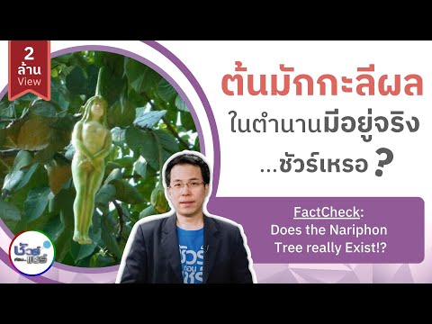 กล้วยไม้ชายแรง ยาเสพติดใหม่สำหรับความอ่อนแอ
