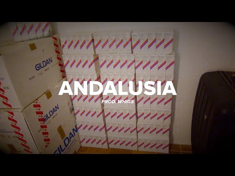 [FREE] Lucio101 x Nizi19 x Pashanim Type Beat "ANDALUSIA" (prod. WhiGs)