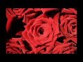 ARMIK  RED ROSES