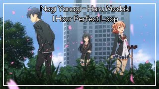 Nagi Yanagi - Haru Modoki (1 Hour Perfect Loop)