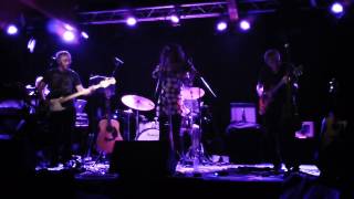 Last Plimsoll / Stackridge Live 2014