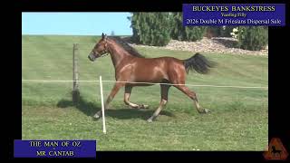 Buckeyes Bankstress. Lot 50 at the Double M Dispersal