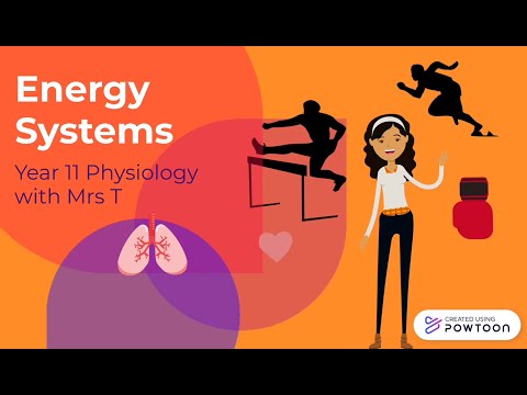 Energy Systems (Basic Overview)