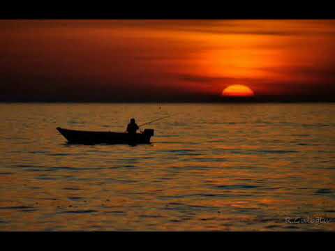 Acı Dünya Film Müziği