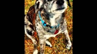 Rudy channels Rumpelstiltskin