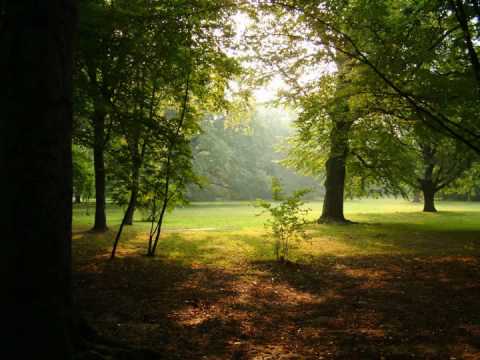 Adya - Out of Africa