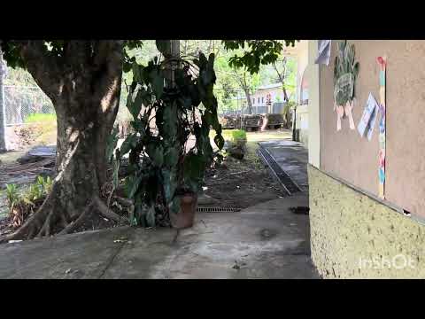 Imagen de Venta de Edificios en Salitral - Santa ana Salitral - SAN JOSÉ