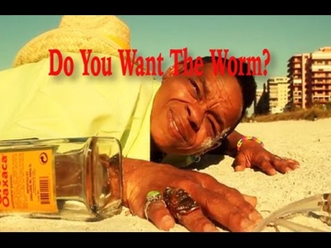 Do You Want The Worm? featuring Trish - Produced by John Seda - BornAMusician.com - YouTube