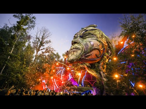 Tomorrowland Mix 2025 - Dimitri Vegas & Like Mike, Anyma, Hardwell - Best Songs, Remixes & Mashups