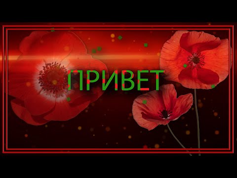 ✅Привет!✅Позитива и прекрасного настроения!✅С Добрым Утром!