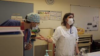 Hantavirus-Verdachtsfälle: Vier Deutsche vor wochenlanger Quarantäne
