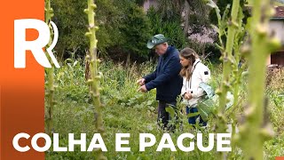 Miniatura do vídeo