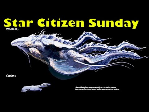 Star Citizen News | 3.9 Update, New Cargo Depot / Refinery Interiors & Space Whales Confirmed