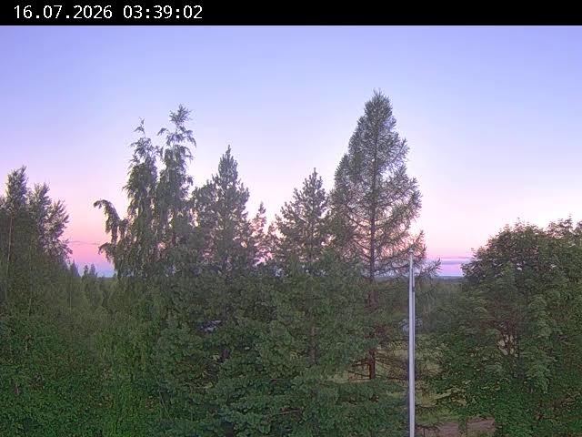 Live webcam view of Kupilka Forest View