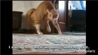 Download lagu Redfoo - Juicy Wiggle [Lyric Video - Funny!] mp3