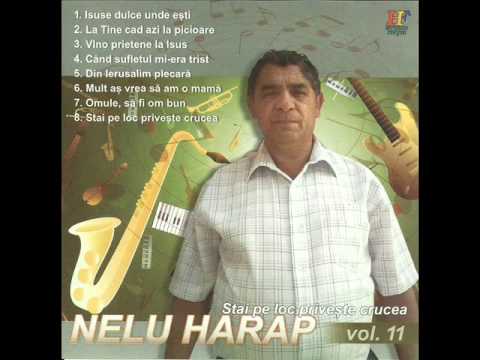 Nelu Harap - La Tine cad azi la picioare