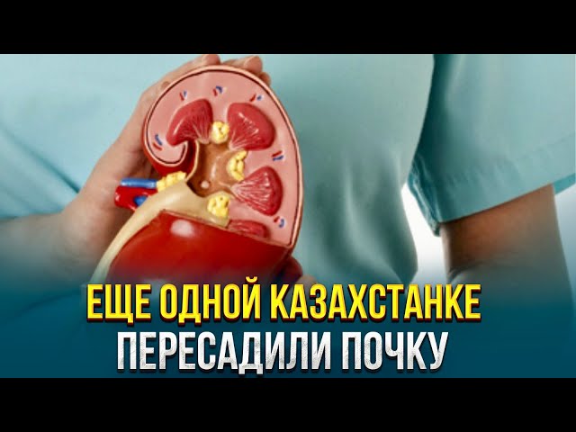 Главные новости 29.01.2024 г.