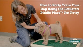 How to Potty Train Your Pet to Use the Piddle Place™ Portable Pet Potty