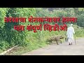 जंगली प्राणी तरस याने रस्त्याने चालण�