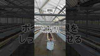 高設ベンチの耕耘 #いちご #農業 #農協