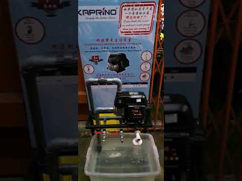 Inverter water pump