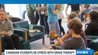 Snakes help students de-stress ahead of finals in Canada