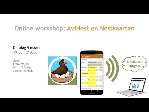 AviNest
