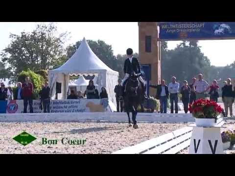 Bon Coeur - Hannoveraner Championat für 3-jährige Hengste